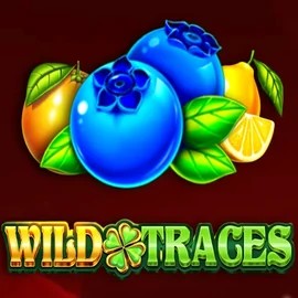 Wild Traces casino game by Amusnet Interactive – featured logo at Slotmonkey Casino